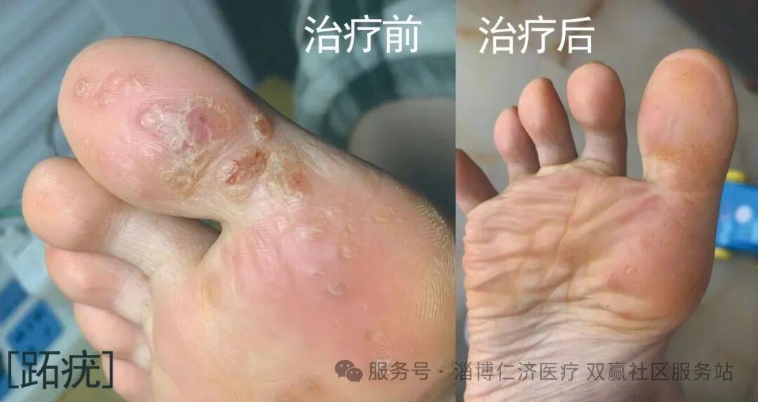科研成果与荣誉