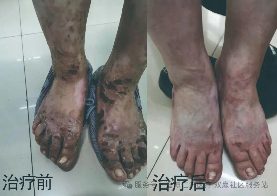 科研成果与荣誉